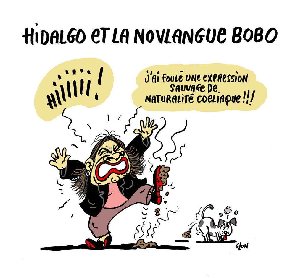 dessin presse humour Anne Hidalgo image drôle novlangue bobo