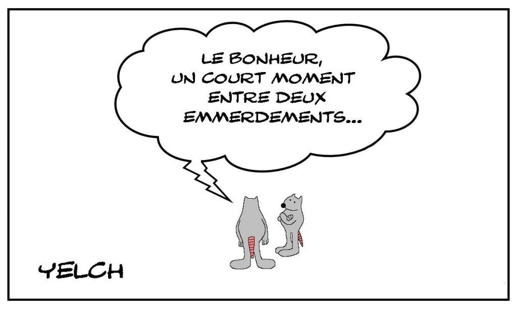 dessins humour bonheur moment image drôle emmerdements