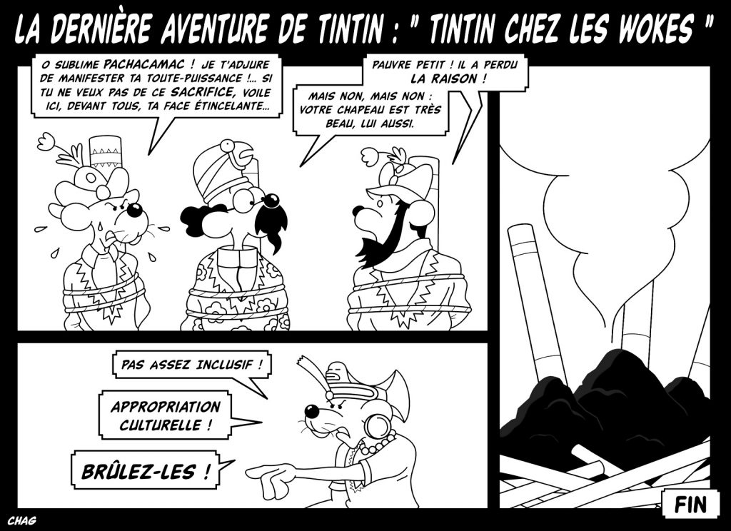 dessin humoristique aventure Tintin image drôle woke wokisme