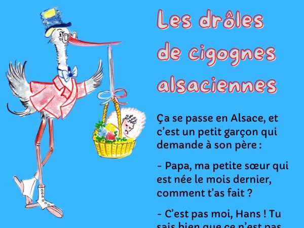 blague Alsace, blague cigognes, blague zoophilie, blague petit garçon, blague petite sœur, blague baise, blague dégoût, blague cons, blague bébés, humour alsacien, humour drôle