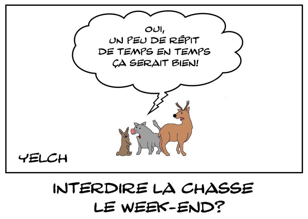 dessins humour interdiction chasse image drôle weekend promenade