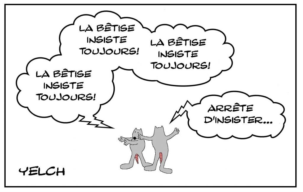 dessins humour Albert Camus image drôle bêtise insistance