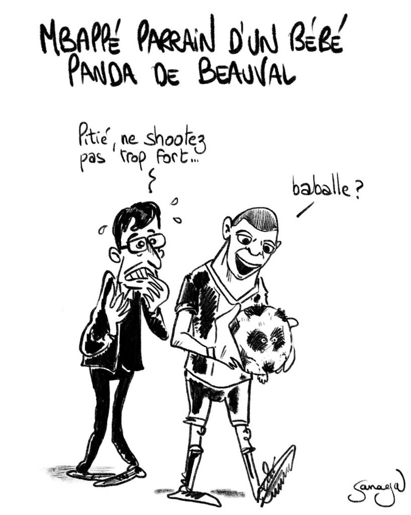 dessin presse humour Kylian Mbappé image drôle parrain bébé panda zoo Beauval