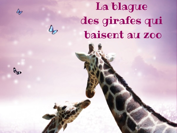 blague enfants, blague sexe, blague animaux, blague girafes, blague gaufrettes, blague gardien, blague spectacle, humour drôle