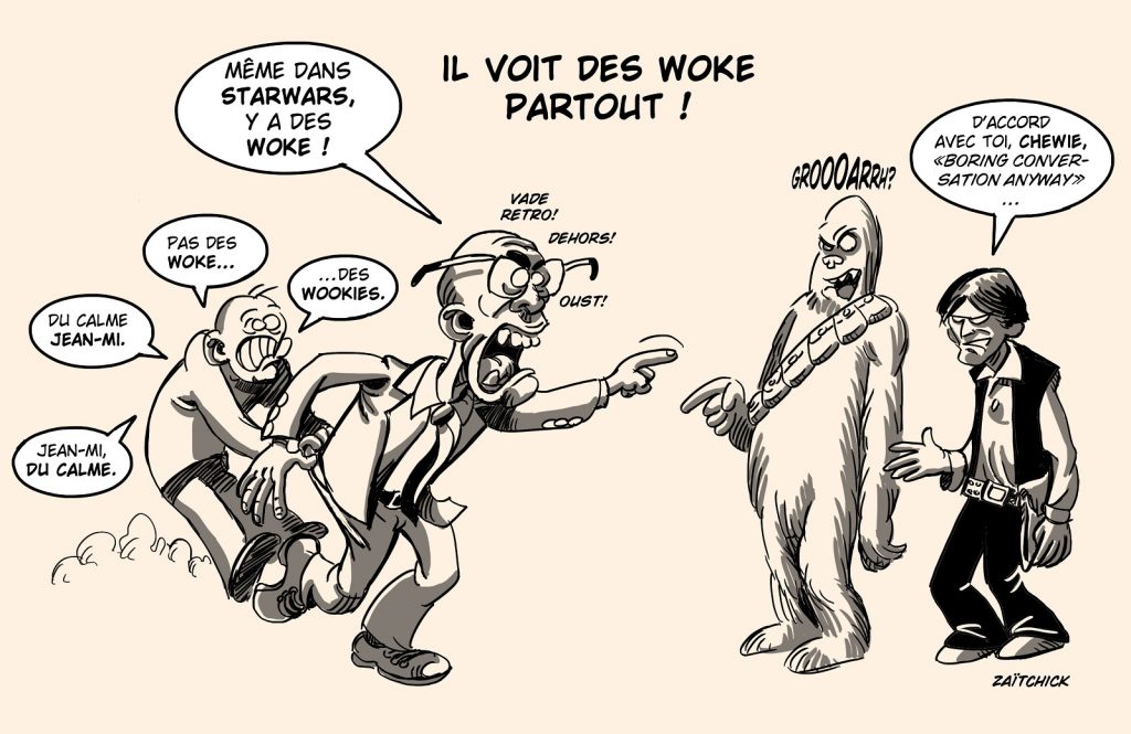 dessin presse humour Jean-Michel Blanquer image drôle croisade wokisme