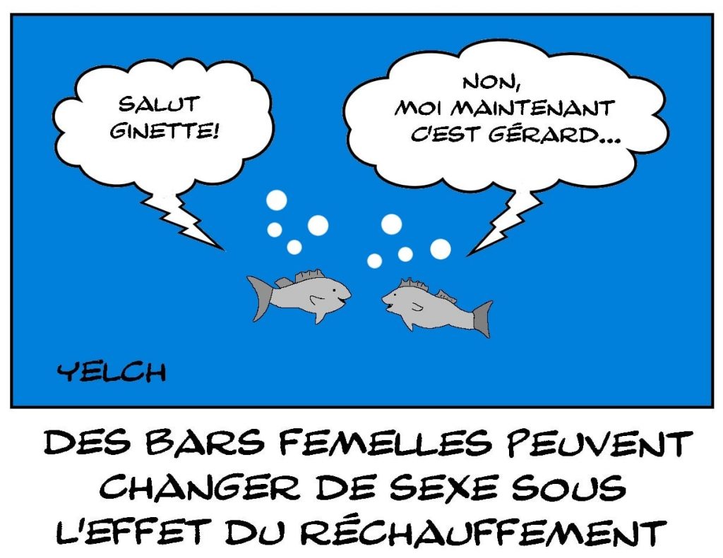 dessins humour réchauffement climatique image drôle changement sexe bars