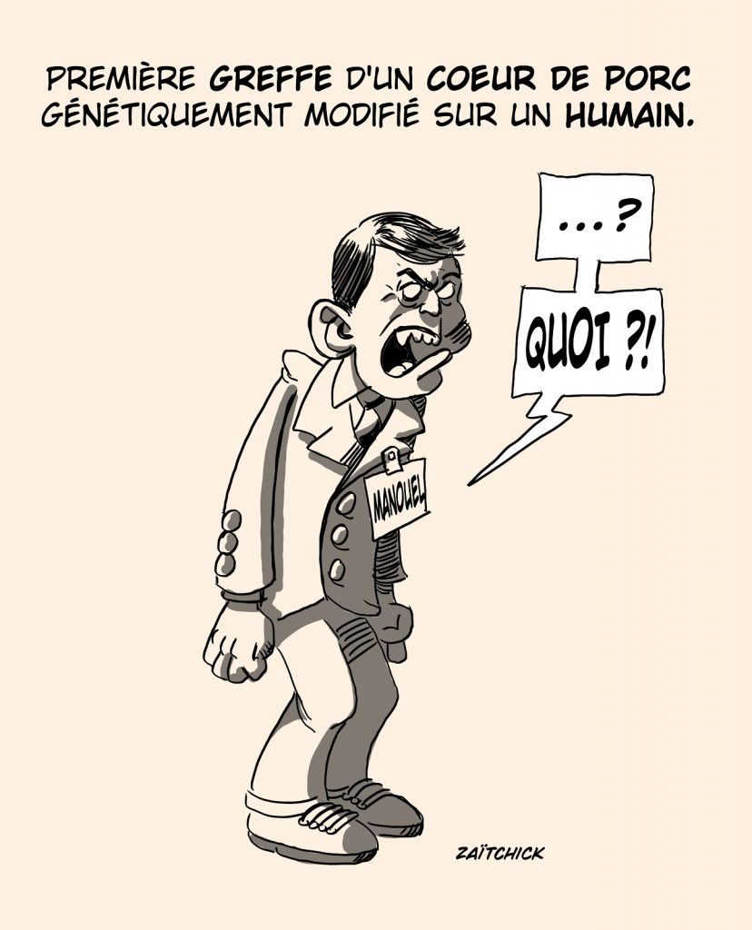 dessin presse humour transplantation cardiaque image drôle cœur porc humain