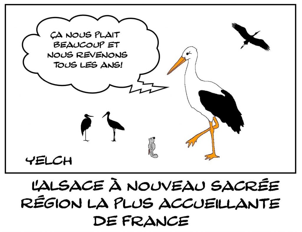 dessins humour France Alsace image drôle région accueillante