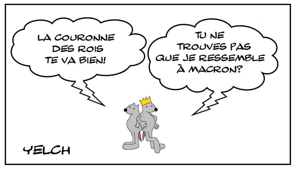 dessins humour couronne rois image drôle épiphanie Emmanuel Macron