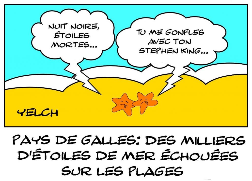 dessins humour Pays de Galles image drôle étoiles de mer échouage