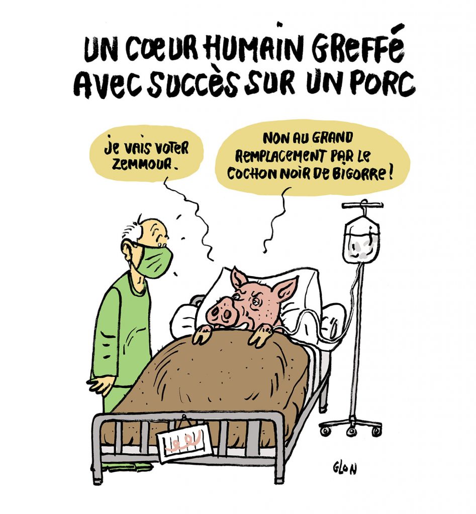 dessin presse humour transplantation cardiaque image drôle cœur porc humain
