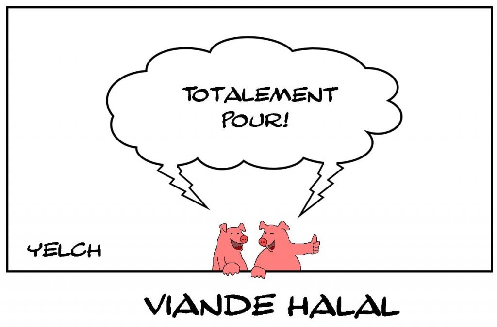 dessins humour porcs cochons image drôle viande halal