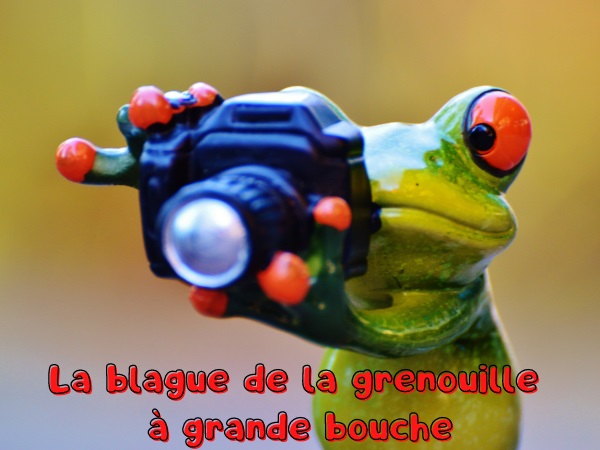 blague animaux, blague grenouilles, blague girafes, blague hyènes, blague lions, blague hérons, blague bouche, humour drôle