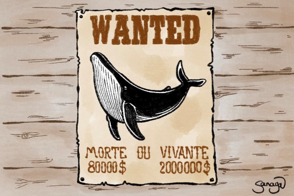 dessin presse humour écologie carbone image drôle marché baleine