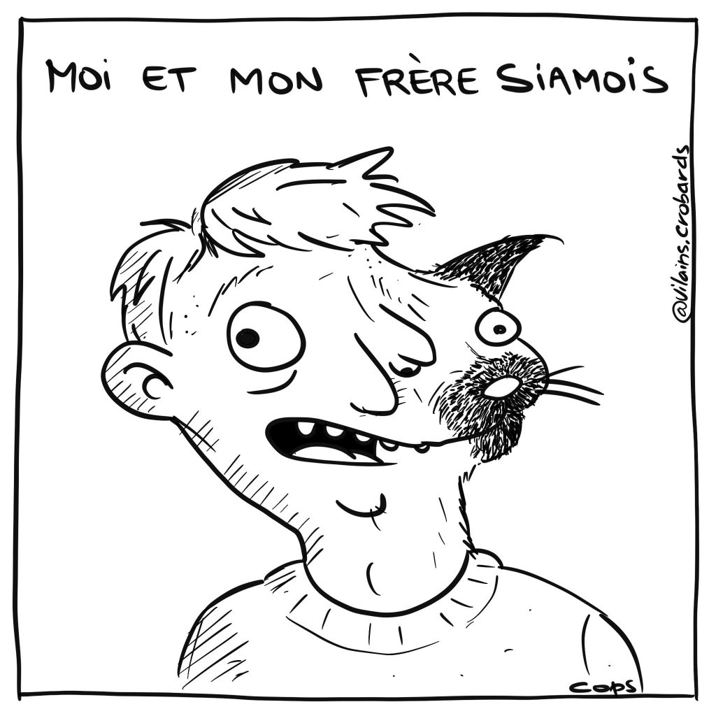 gag image drôle jumeaux frères siamois image drôle chat