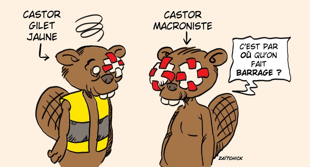 dessin presse humour Présidentielle 2022 Emmanuel Macron image drôle castors vote barrage