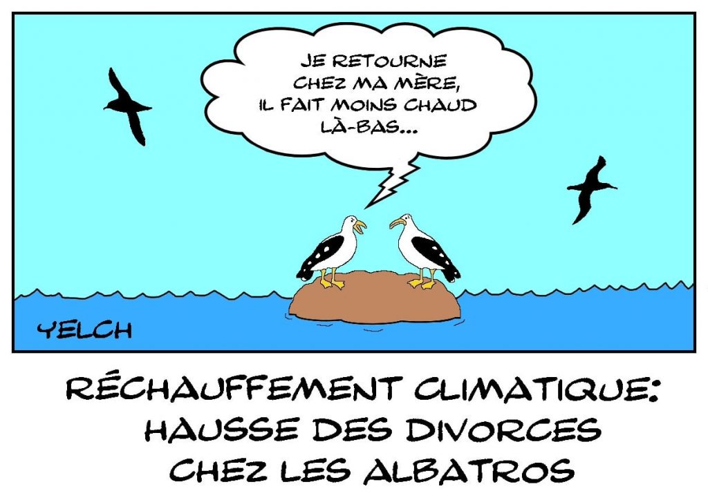 dessins humour albatros divorce image drôle réchauffement climatique