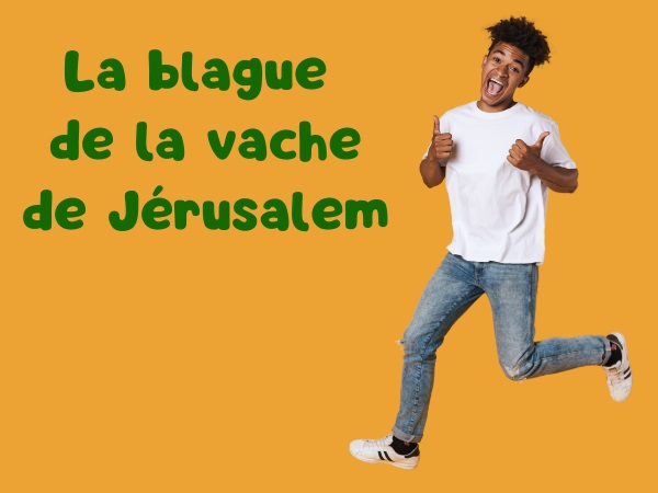 blague nationalités, blague noirs, blague juifs, blague argent, blague animaux, blague vaches, blague commerce, humour drôle