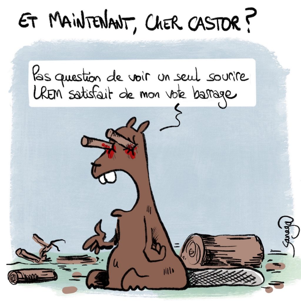 dessin presse humour présidentielle 2022 vote barrage image drôle castor satisfaction LREM