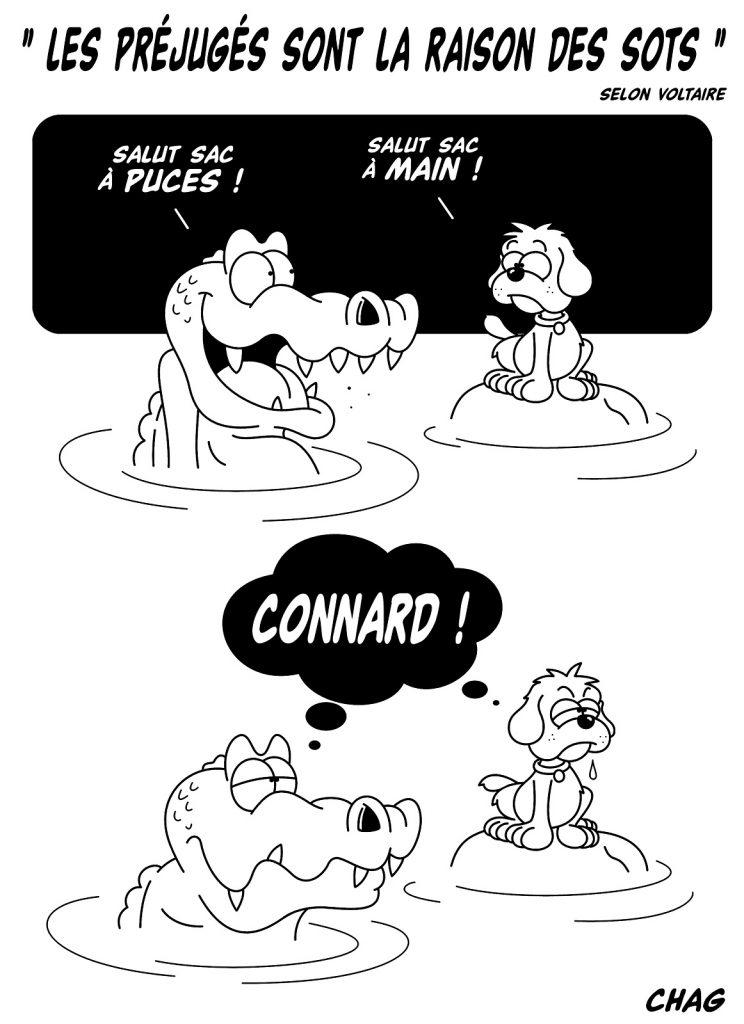 dessin humoristique préjugés raison sot image drôle crocodile chien