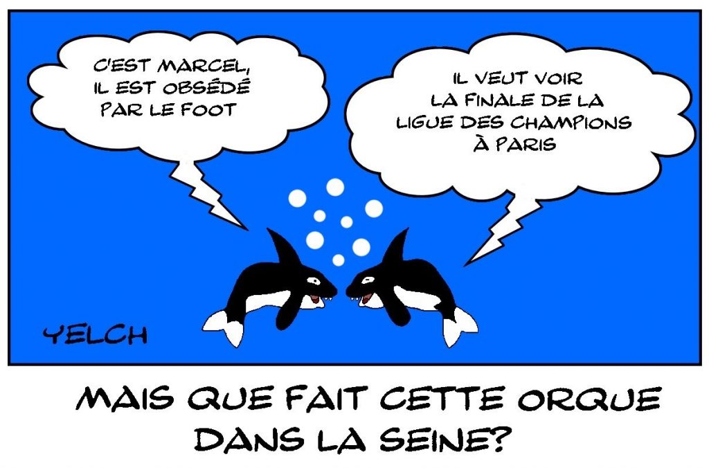 dessins humour orque image drôle Seine