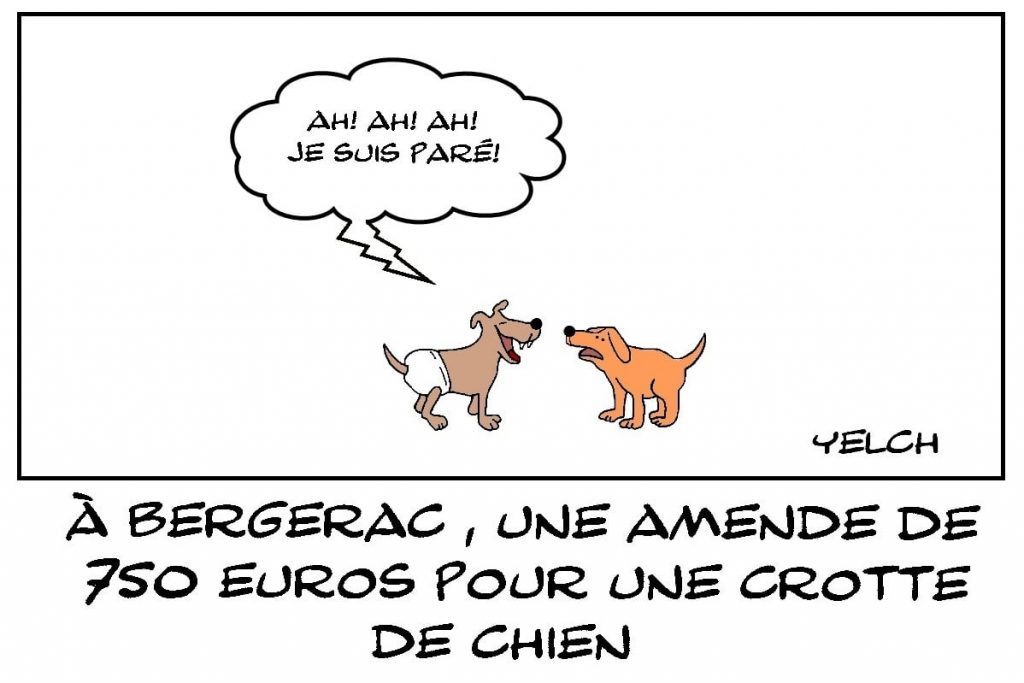 dessins humour Bergerac image drôle amende crotte chien