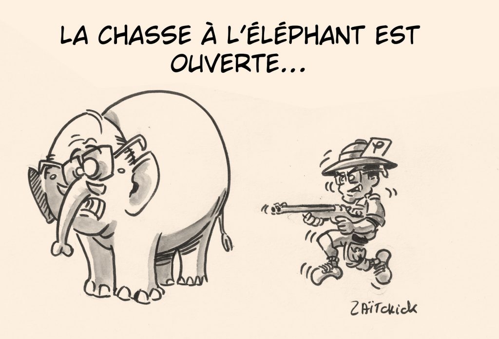 dessin presse humour législatives 2022 Jean-Luc Mélenchon image drôle François Hollande chasse éléphant