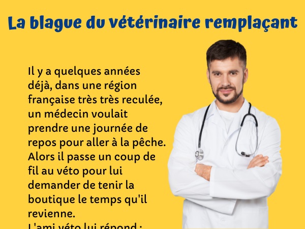 blague métiers, blague médecins, blague vétérinaires, blague accouchement, blague remplacement, blague placenta; humour drôle