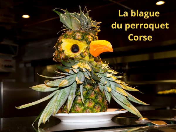 blague nationalités, blague corses, blague oiseau, blague perroquets, blague hiboux, blague yeux, humour drôle