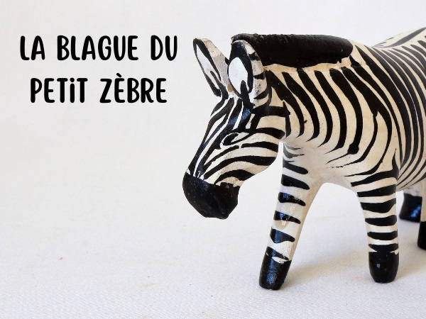 blague animaux, blague zèbres, blague vaches, blague moutons, blague chevaux, blague sexe, blague pyjama, humour drôle