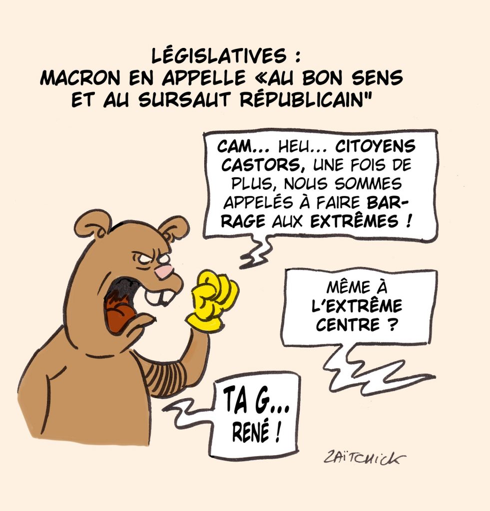 dessin presse humour législatives 2022 castor image drôle Emmanuel Macron barrage