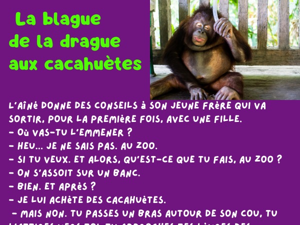 blague séduction, blague cacahuètes, blague zoo, blague sortie, blague baiser, blague refus, blague méthode, humour drôle