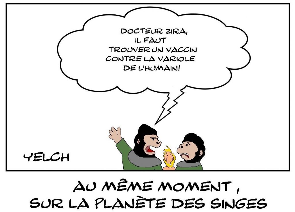 dessins humour variole singe image drôle Planète des Singes