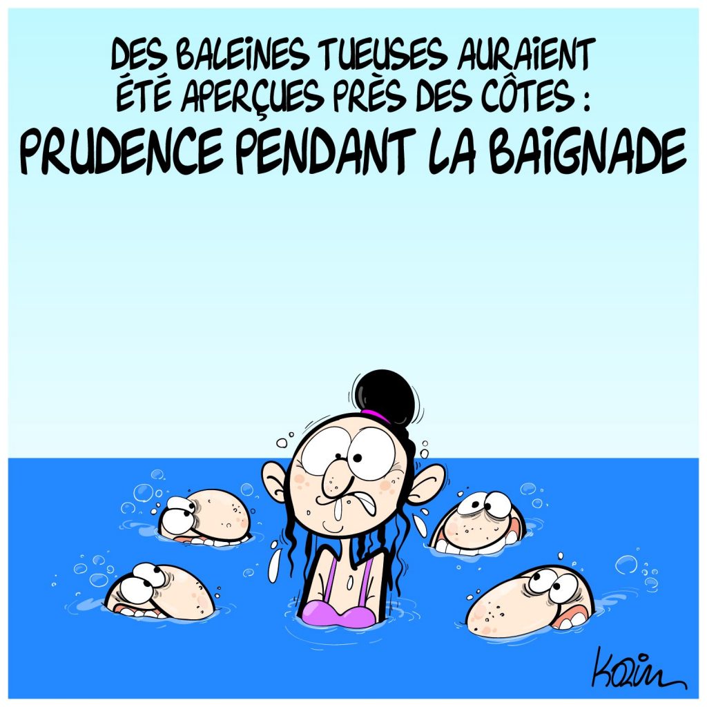 dessin presse humour baleines tueuses image drôle harcèlement sexuel