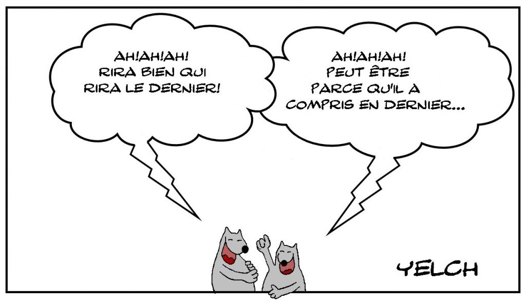 dessins humour rire rigolade compréhension image drôle expression française