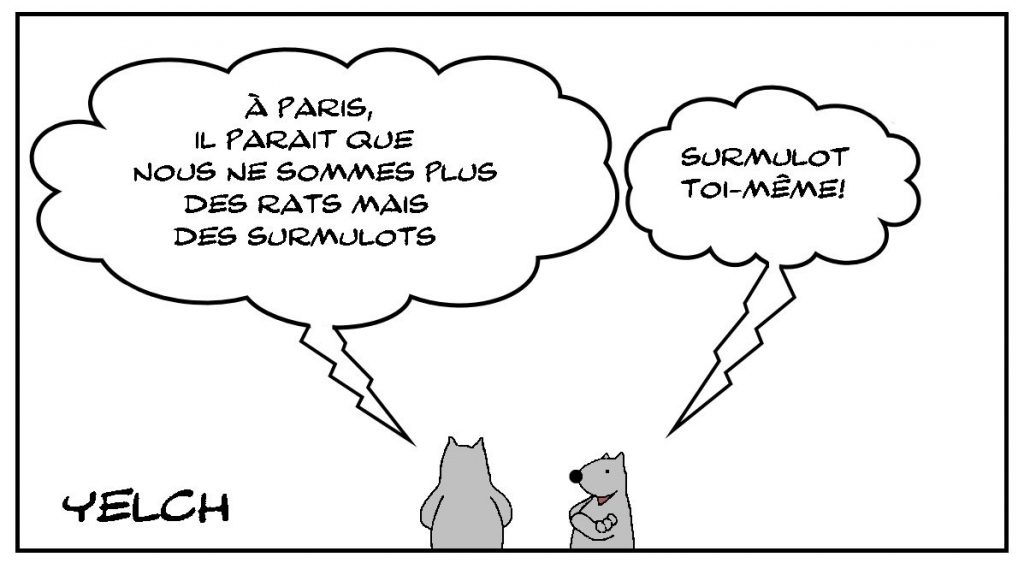dessins humour Douchka Markovic Parti animaliste image drôle conseil de Paris surmulot