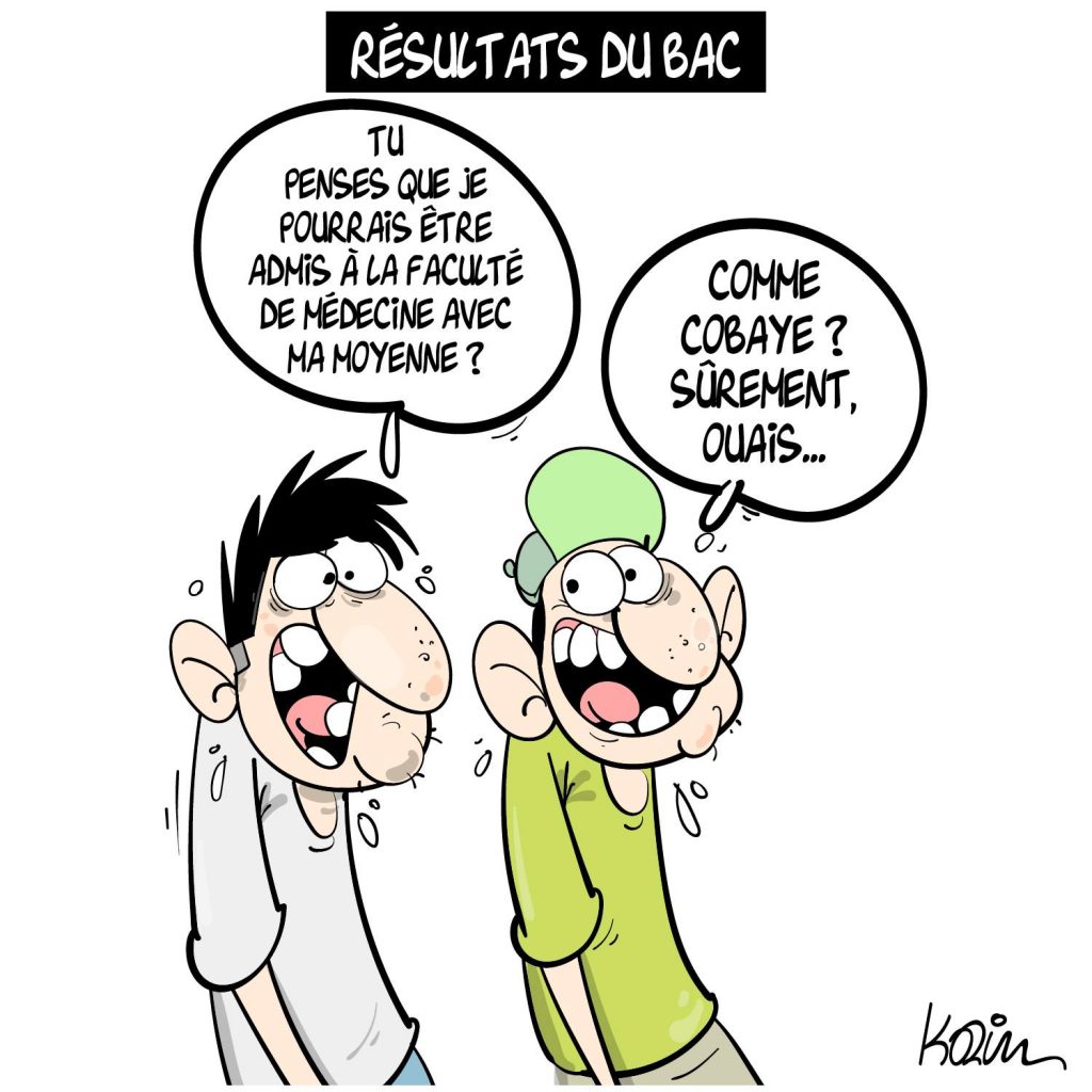 dessin presse humour résultats Baccalauréat image drôle faculté médecine cobaye