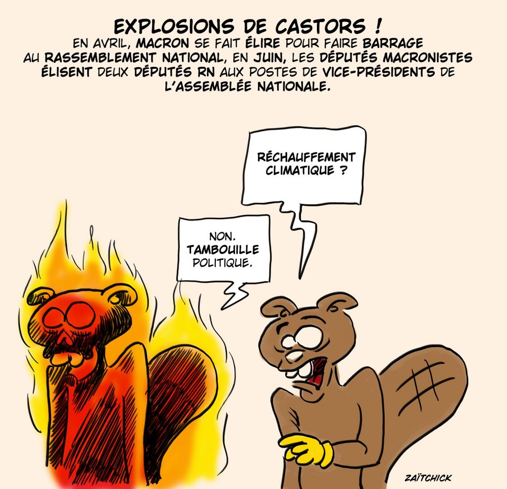 dessin presse humour Emmanuel Macron image drôle Rassemblement National vice-président Assemblée Nationale