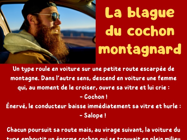 blague voiture, blague montagne, blague cochon, blague femme, blague croisement, blague insulte, blague avertissement, humour drôle