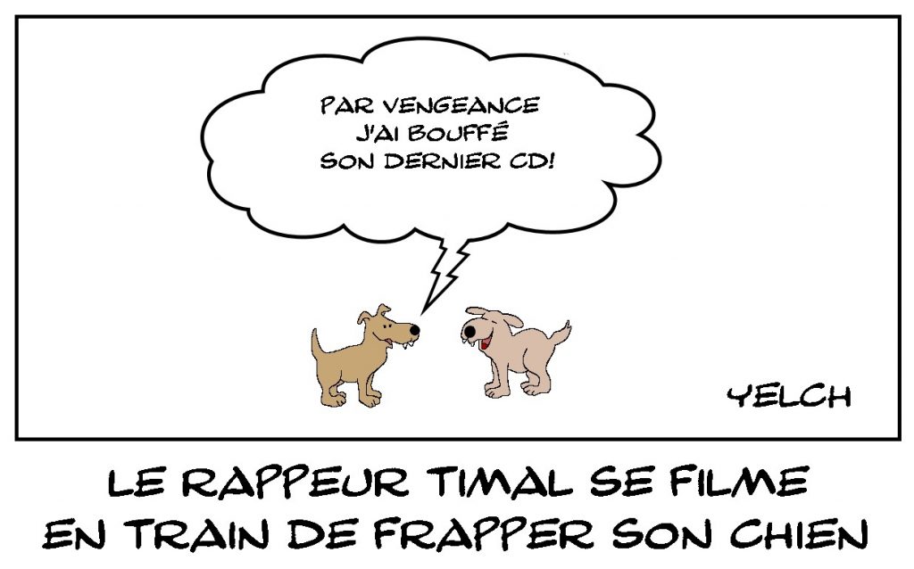 dessins humour maltraitance animale image drôle chien rappeur Timal