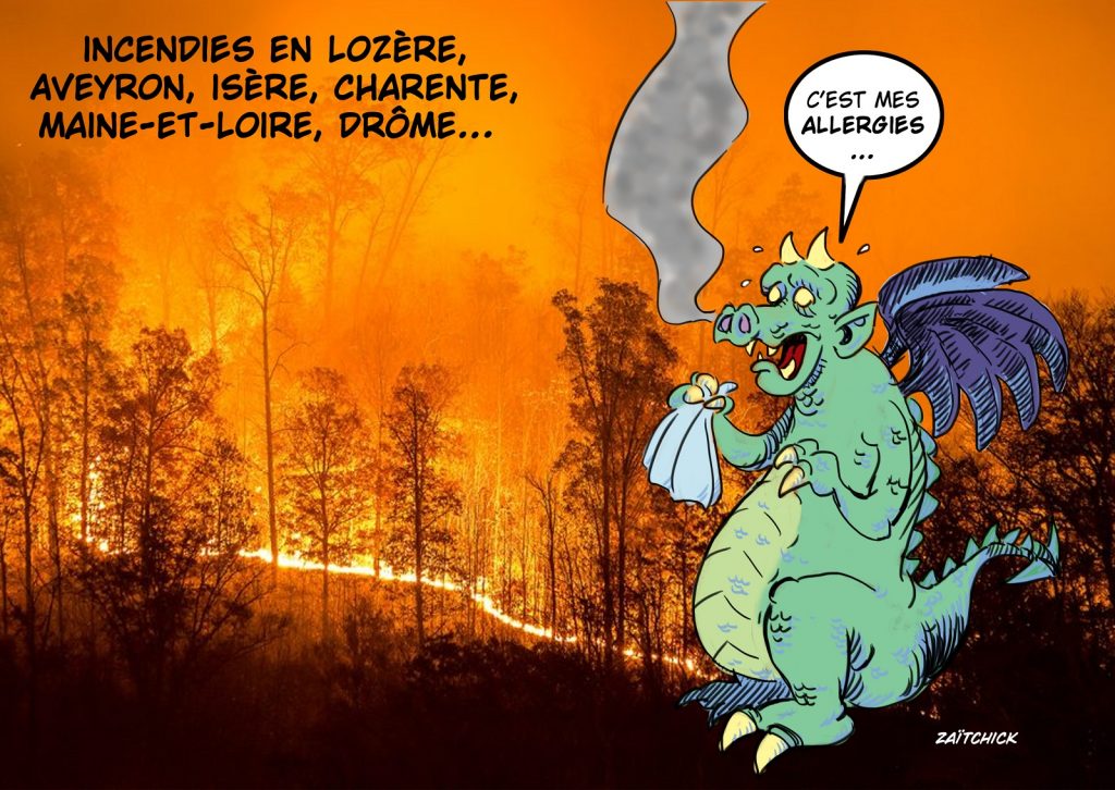 dessin presse humour incendies de forêts image drôle dragon allergie