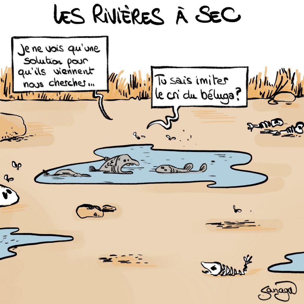 dessin presse humour sécheresse image drôle sauvetage béluga