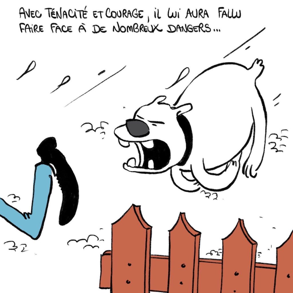 dessin humour politique du jour, dessin d’actualité, Sanaga, blague quarantenaire, blague sport, blague course, blague chaussure, blague Cendrillon, blague running, blague baskets