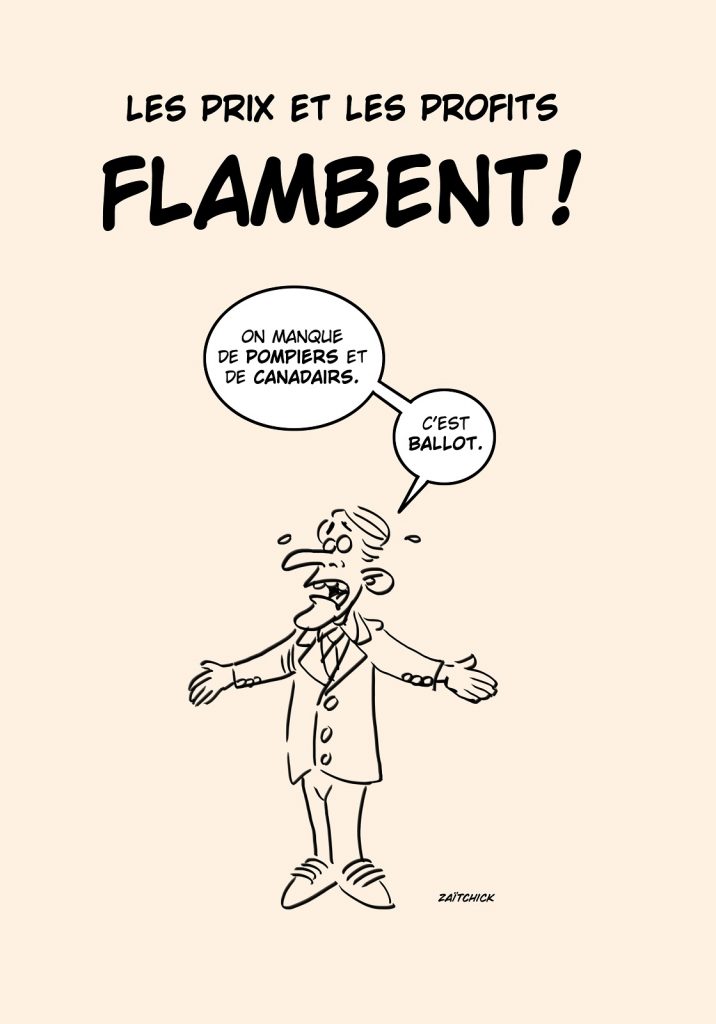 dessin presse humour Emmanuel Macron image drôle incendies forêts
