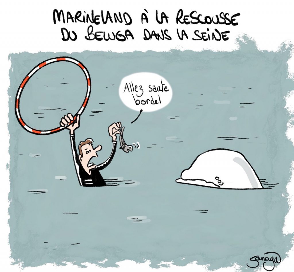 dessin presse humour Marineland image drôle sauvetage béluga Seine