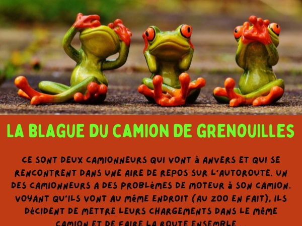 blague camion, blague animaux, blague gorille, blague grenouille, blague sexe, blague zoo, humour drôle