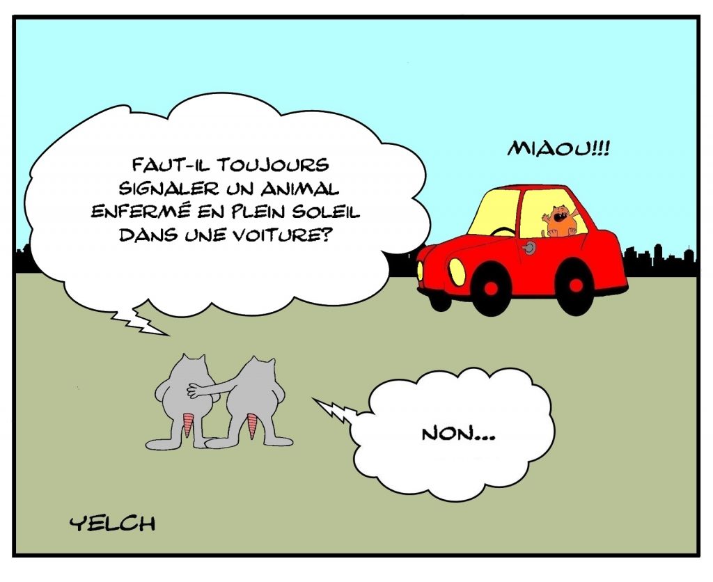 dessins humour animal voiture image drôle signalement enfermement soleil