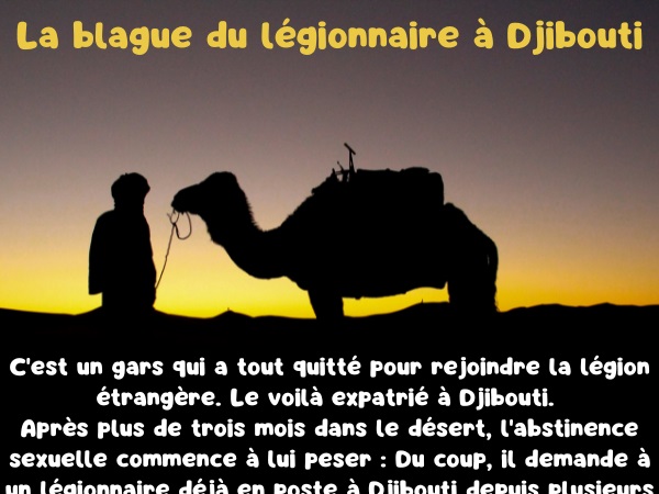 blague zoophilie, blague sexe, blague légion étrangère, blague dromadaire, blague escabeau, blague défouloir, humour drôle