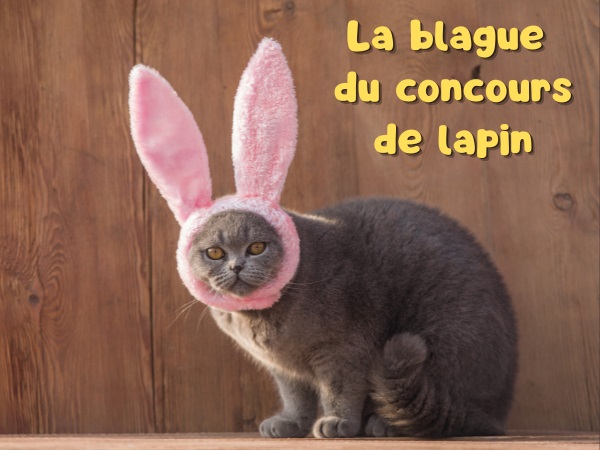 blague militaires, blague gendarmes, blague policiers, blague police, blague lapin, blague concours, humour drôle