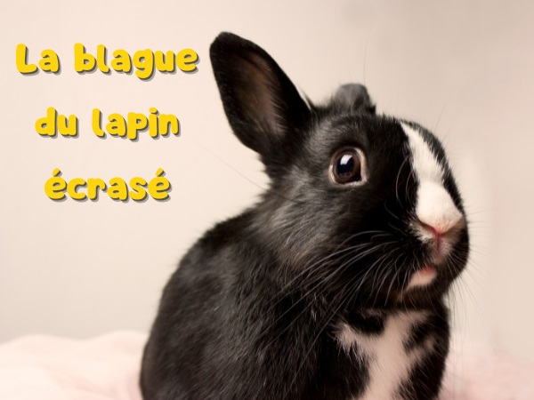 blague accident, blague cornes, blague cocu, blague lapin, blague taureau, blague vexation, humour drôle